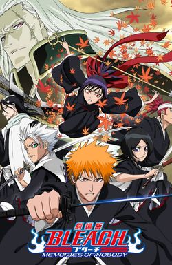 Bleach: Memories of Nobody