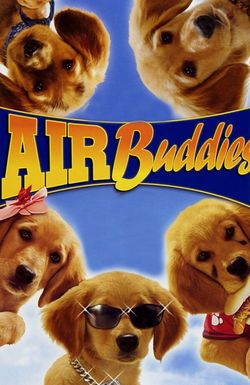 Air Buddies