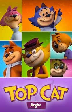 Top Cat Begins