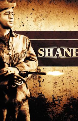 Shane