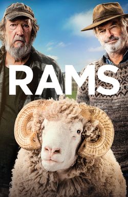 Rams