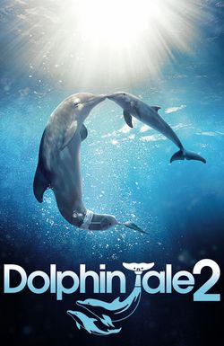 Dolphin Tale 2