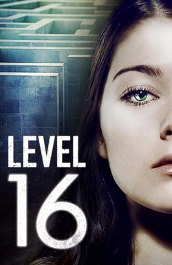 Level 16