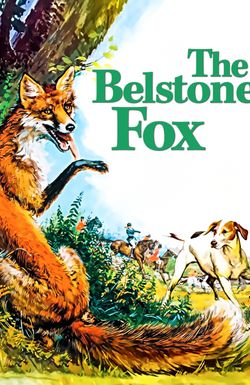 The Belstone Fox