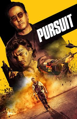 Pursuit