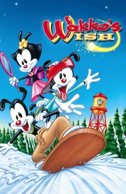 Animaniacs: Wakko's Wish