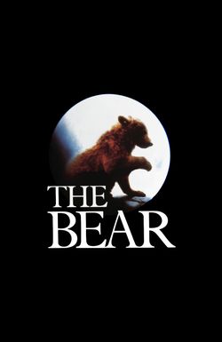 The Bear