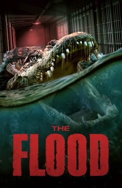 The Flood