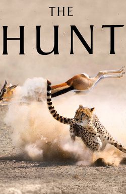 The Hunt