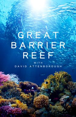 Great Barrier Reef with David Attenborough