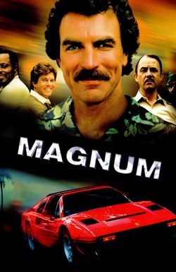 Magnum, P.I.