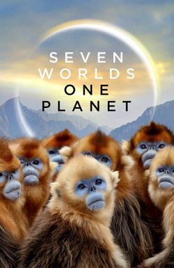 Seven Worlds One Planet