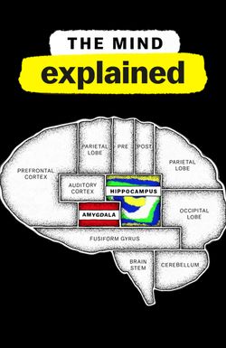 The Mind, Explained