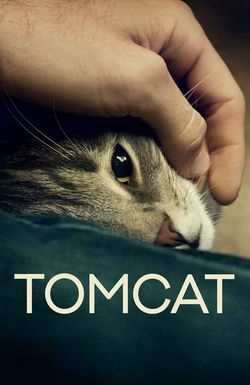 Tomcat