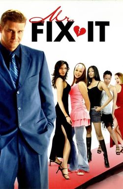 Mr. Fix It