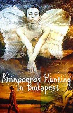 Rhinoceros Hunting in Budapest