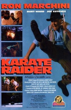 Karate Raider