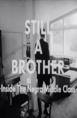 Still a Brother: Inside the Negro Middle Class