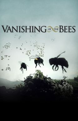 Vanishing of the Bees