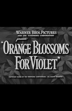 Orange Blossoms for Violet