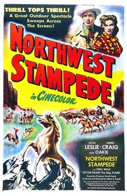 Northwest Stampede