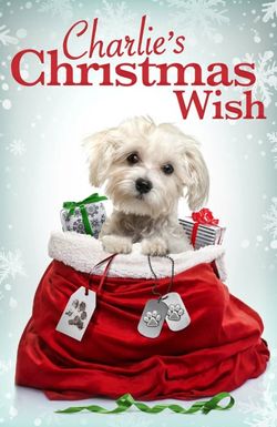 Charlie's Christmas Wish