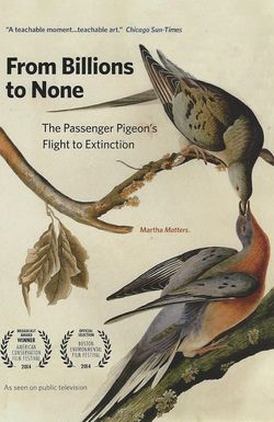 From Billions to None: The Passenger Pigeon's Flight to Extinction