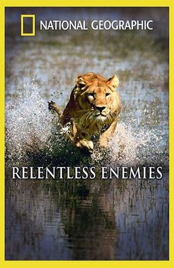 Relentless Enemies