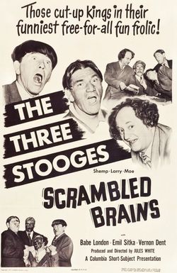 Scrambled Brains