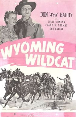 Wyoming Wildcat