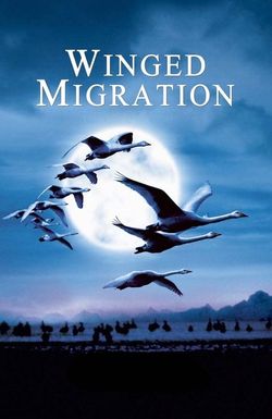 Winged Migration