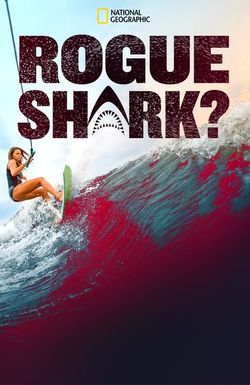 Rogue Shark?