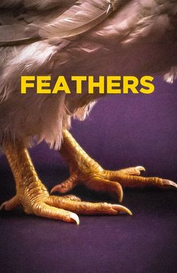 Feathers