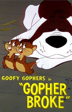 Gopher Broke