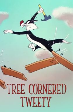 Tree Cornered Tweety