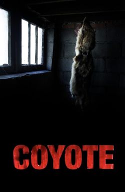 Coyote