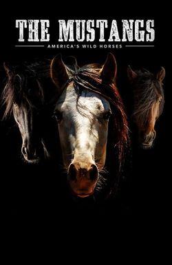 The Mustangs: America's Wild Horses