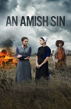 An Amish Sin