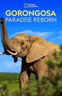 Gorongosa: Paradise Reborn