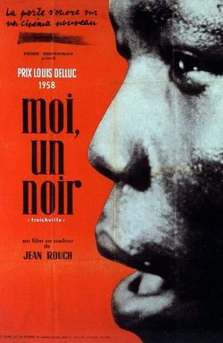 Moi, un noir