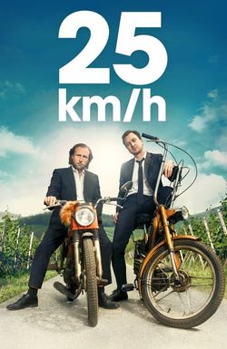 25 km/h