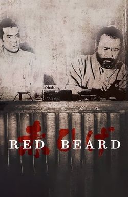 Red Beard