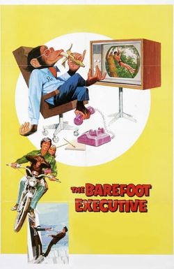 The Barefoot Executive