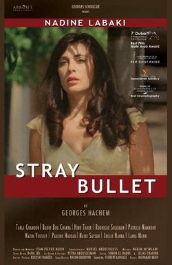 Stray Bullet