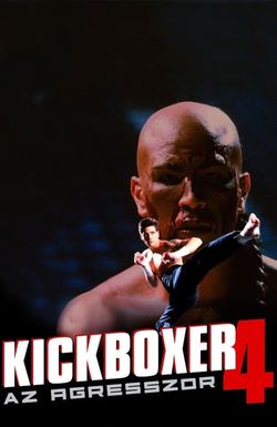 Kickboxer 4: The Aggressor