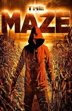 The Maze