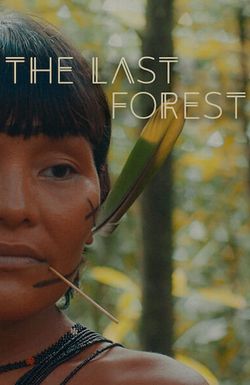 The Last Forest