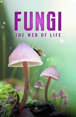 Fungi: The Web of Life