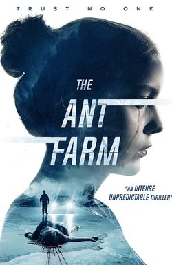 The Ant Farm