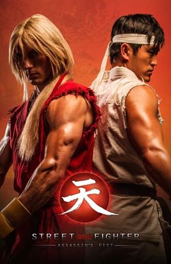 Street Fighter: Assassin's Fist